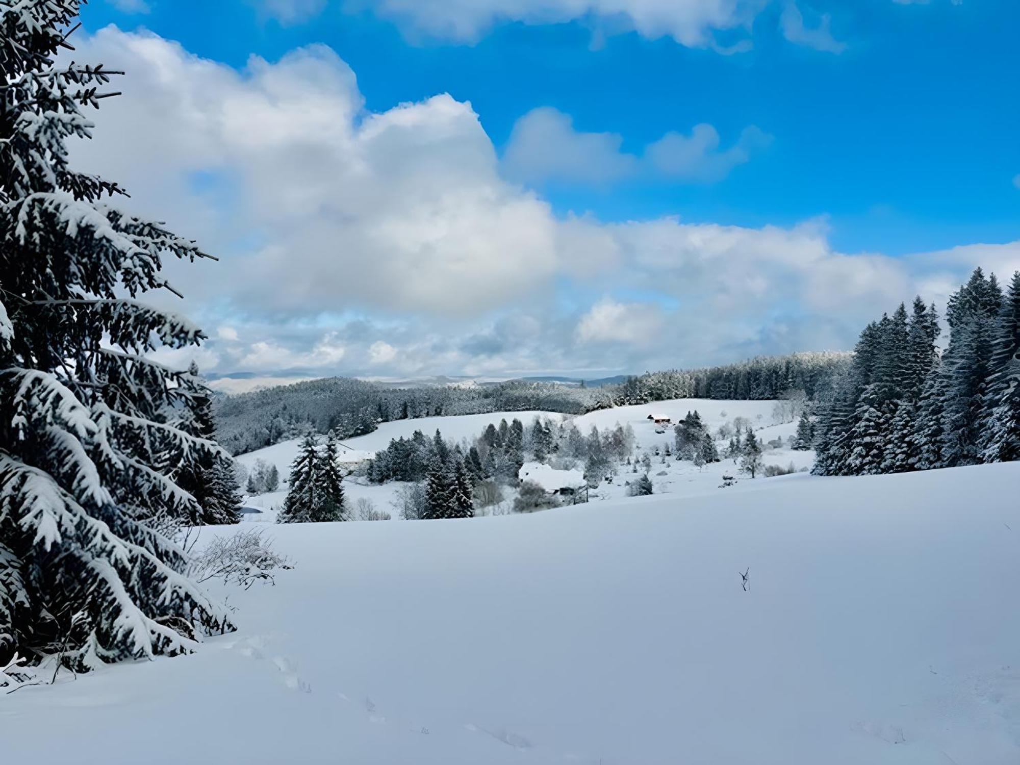 Schwarzwald Nescht Triberg Leilighet Triberg im Schwarzwald Eksteriør bilde