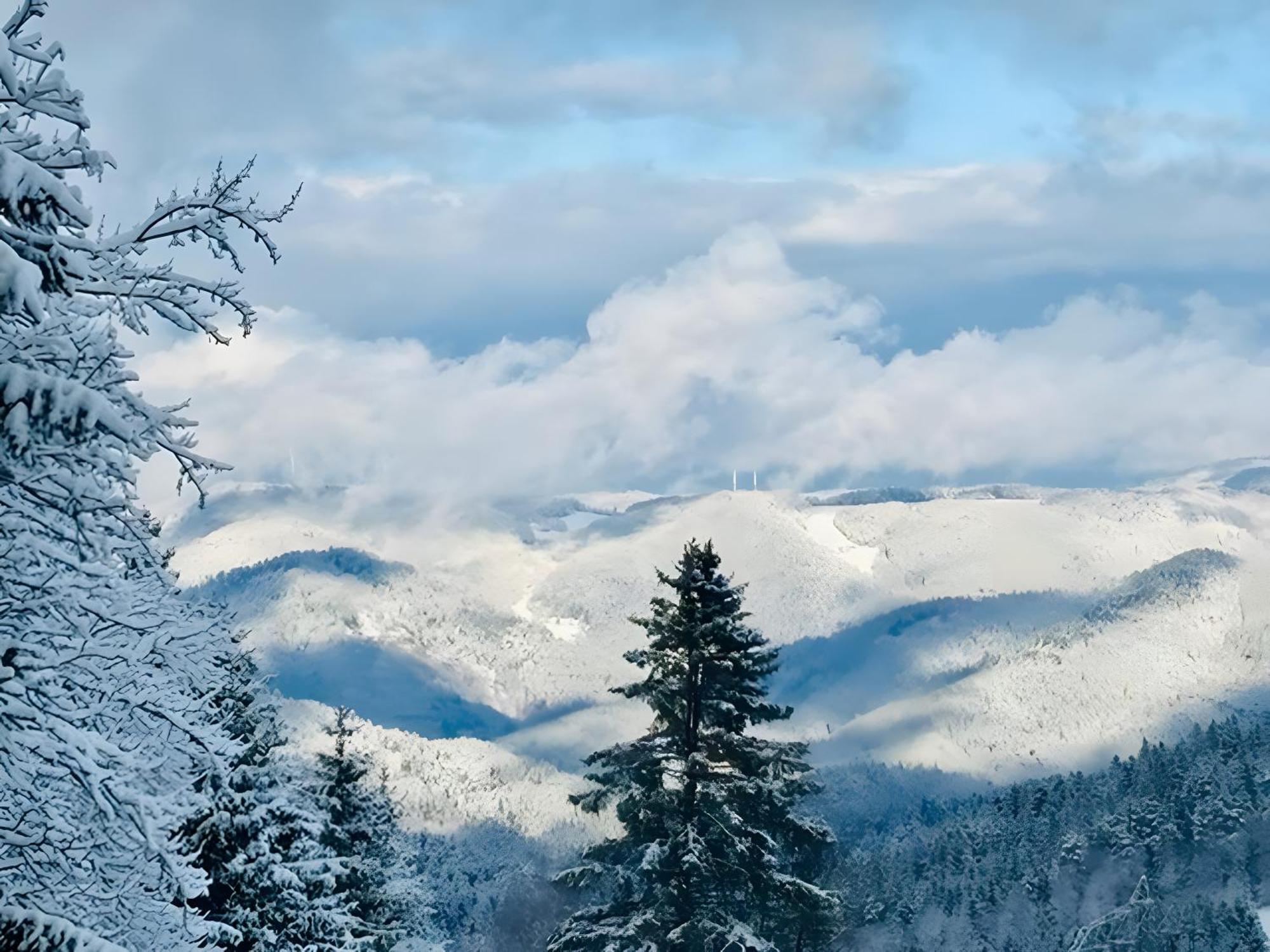Schwarzwald Nescht Triberg Leilighet Triberg im Schwarzwald Eksteriør bilde